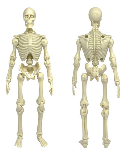 Figura De Accion De Esqueleto Tipo S Super Articulada De 8 P