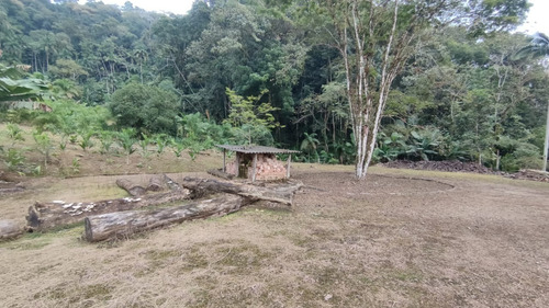 Imagem 13 de 28 de Linda Chácara No Vila Nova | Terreno Com 204.700 M² | Próximo Ao Bar Do Canarinho - Sa01954 - 69526825
