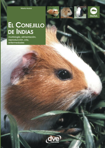Libro: El Conejillo De Indias (spanish Edition)