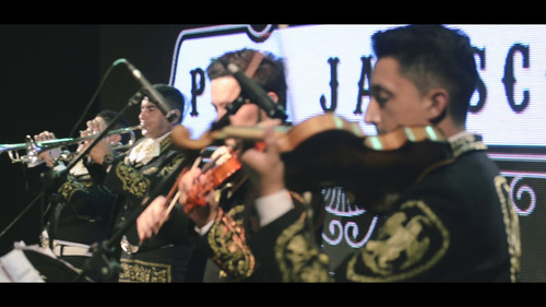 Mariachi Puro Jalisco/serenatas/dia De La Madre/del Amigo