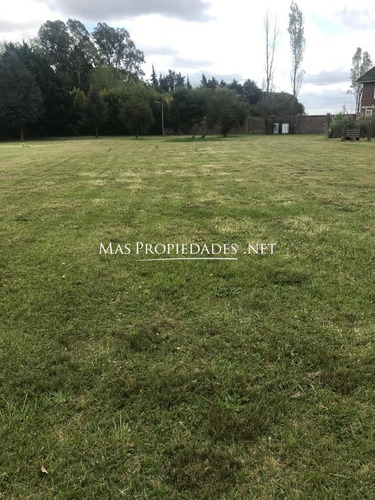 Imagen 3 de 6 de Terreno Interno En La Tacuara
