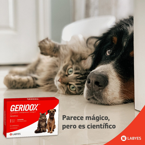 Suplemento Gerioox Senior Omega 3 Para Perro/gato 30c