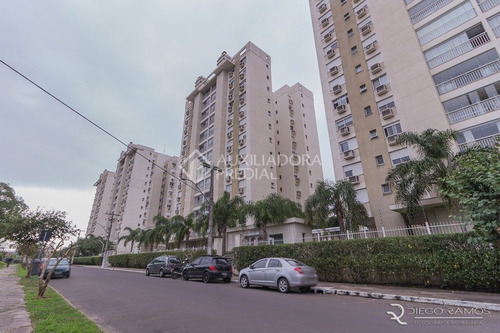 Imagem 13 de 15 de Apartamento - Jardim Lindoia - Ref: 253213 - L-253213