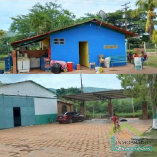 Granja Avícola En Venta/ San Francisco De Asís/ Yp1390