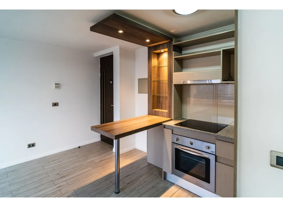 Imagen 4 de 22 de Arriendo Metro Parque O´higgins / San Ignacio / Av. Matta