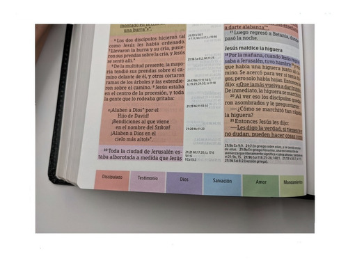 Imagen 8 de 10 de Biblia Estudio Arcoiris Ntv Piel Fabricada Negro