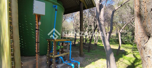 Parcela De 5.252 Mt2 Con Cabaña Urbanizada De 61mt2
