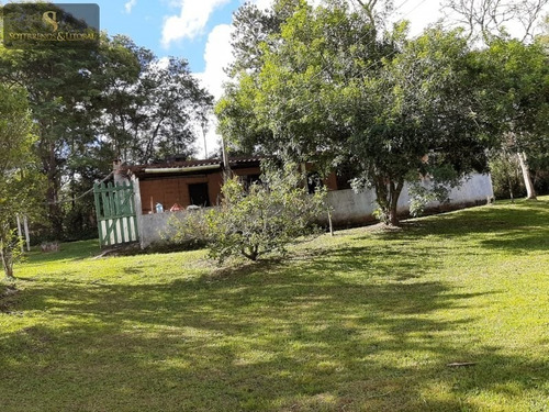 Imagem 13 de 18 de Chácara 6.500 M² - Vila Moraes Em Mogi Das Cruzes - Sp