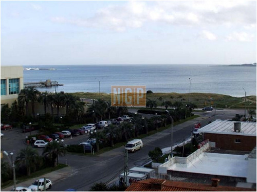 Imagen 15 de 30 de Punta Del Este Piso Alto Con Vista Al Mar!