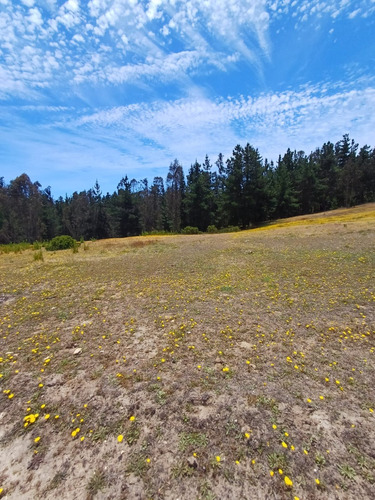 Gran Oportunidad Vendo Terrenos Sector Tunquen!! 45 Millones