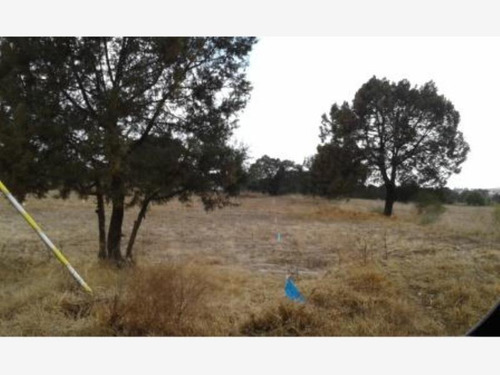 Imagen 5 de 5 de Terreno En Venta San Andres Ahuashuatepec