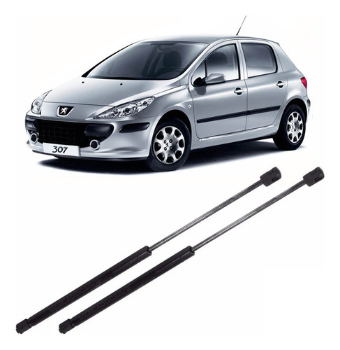 Kit 2 Amortiguadores Porton Peugeot 307 3/5 Puertas - 2010