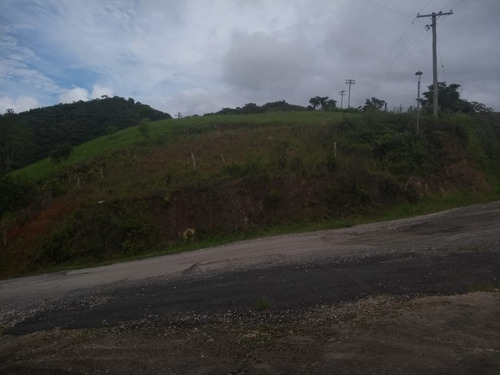 Imagem 13 de 30 de Fazenda - Fa00003 - 34856184