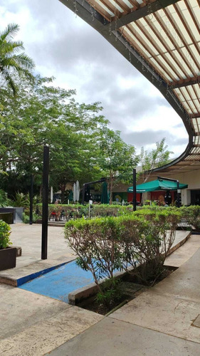 Terrazas De 350 M2 Para Isla
