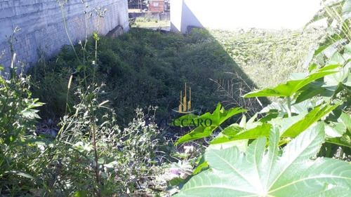 Terreno Comercial À Venda, Cumbica, Guarulhos. - Te0521