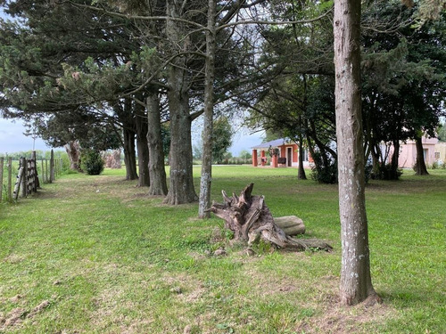 Casa De Campo En Alquiler