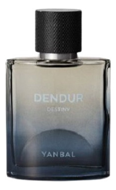 Dendur Destiny Perfume De Hombre Yanbal