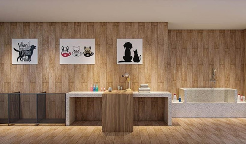 Imagem 16 de 29 de Apartamento Residencial Para Venda, Aclimação, São Paulo - Ap9839. - Ap9839-inc