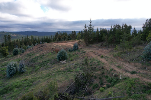 Imagen 5 de 14 de Oferta Hermoso Terreno En Lago Vichuquén - Vista Al Lago