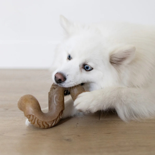 Hueso Masticable Benebone Tripbone Medium Juguete Perro