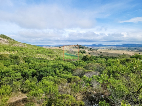 Imagen 27 de 30 de 79 Hás Campo Criador Y Serrano En Corte De La Leña