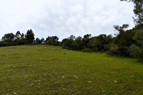 Chacra En Las Sierras Ruta 12 Próximo Pueblo Eden, Maldonado