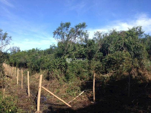 Imagem 1 de 2 de Terreno À Venda, 2700 M² Por R$ 700.000,00 - Rincão Mimoso (itaipuaçu) - Maricá/rj - Te2571