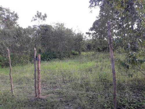 Imagen 2 de 6 de Terreno En Venta Norte 1ra. Sección (buena Vista)