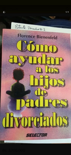 Como Ayudar A Los Hijos De Padres Divorciados. Bienenfeld