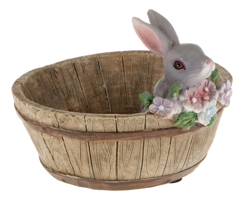 De Macetas Suculentas Sedum De Flor Gris Caja De Bonsai