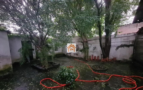 Imagem 9 de 18 de Casa Em Moema - 3 Dormitórios - 1 Suíte - 3 Banheiros - 5 Vagas - 400 M² - 146535
