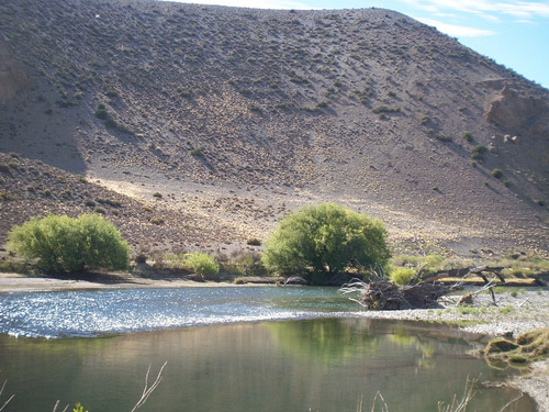 Venta Campo Sobre Río Chubut De 800 Has