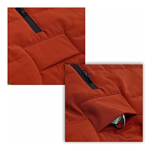 Blueberry Pet 2023 Nueva Chaqueta Acolchada Para Perros De O