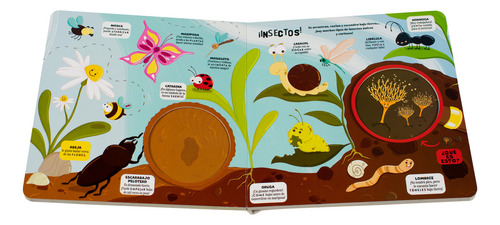Desde La Tierra Hasta El Mundo Microscópico En Un Solo Libro, De Luca De Leone. Editorial Silver Dolphin Infantil, Tapa Dura, Edición 01 En Español, 2025