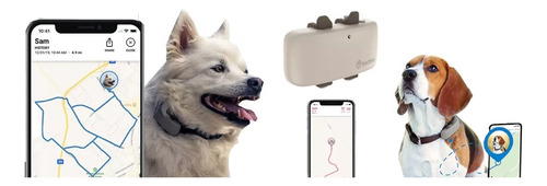 Rastreador Tec Lte Gps Ubicación Y Actividad Para Perros