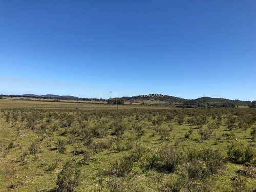 Campo En Venta Excelente Lugar- Ref: 3643