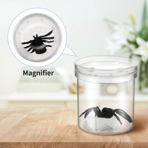 Copa De Observación De Insectos Al Aire Libre