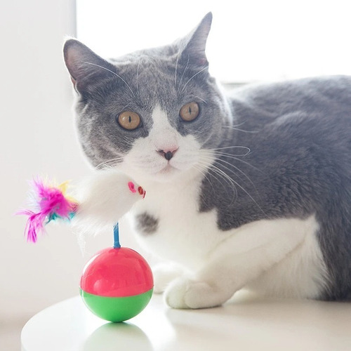 Imagen 6 de 9 de Juguete Para Gatos/perros Pelota Interactiva Diversión