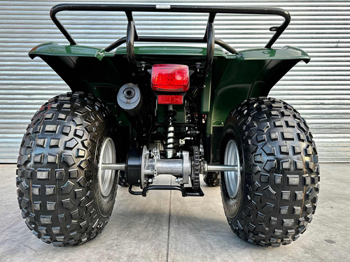 Imagen 11 de 25 de Yamaha Grizzly 125 Cc