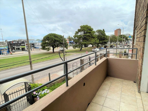 Imagen 2 de 12 de Alquiler Apartamento 2 Dormitorios Malvin.