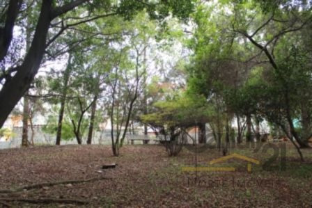 Galpao, Venda E Aluguel, Vila Sao Leopoldo, Sao Bernardo Do Campo - 5989 - L-5989