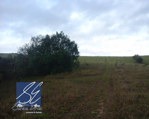 Imagem 7 de 27 de Fazenda - Fa00002 - 4589514