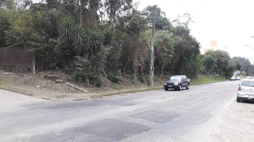 Imagem 4 de 6 de Terreno D Esquina Com Ótima Topografia - T 068