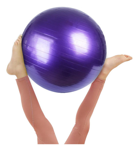 Pelota De Pelota De Ejercicio Pelota De 65cm Púrpura