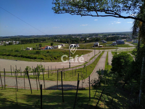 Imagem 22 de 30 de Terreno 12 X 25 Metros Real Park - 2855