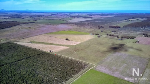 Campo En Venta En Canelones