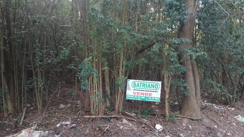 Imagen 2 de 2 de Terreno En Venta En Matheu