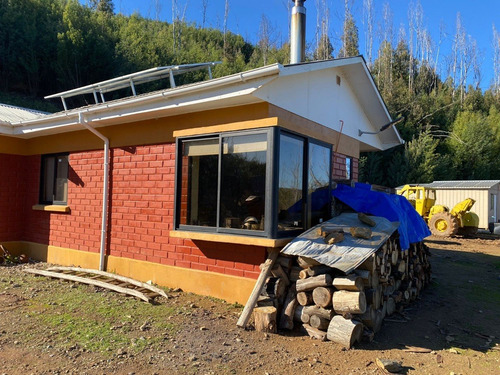 Predio Forestal En Constitución, Regeneración Plan De Manejo
