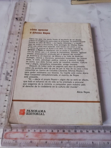 Cómo Apreciar La Alfonso Reyes Alicia Reyes Panorama (Usado)