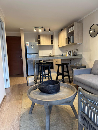 Hermoso Departamento De Un Dormitorio En Villarrica